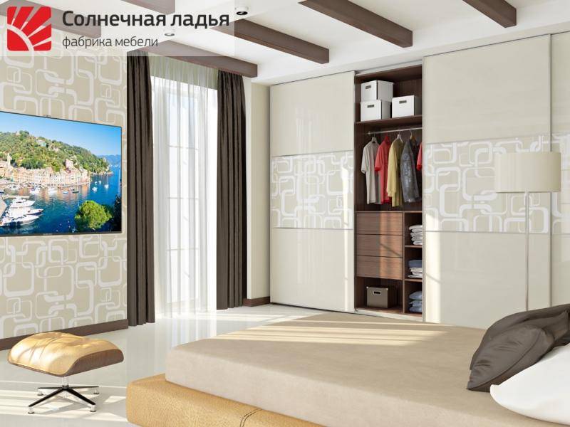 шкаф - купе для гостиной 8 в Тольятти