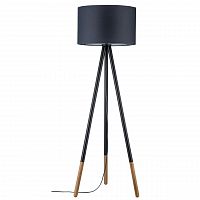 торшер paulmann rurik 79633 в Тольятти