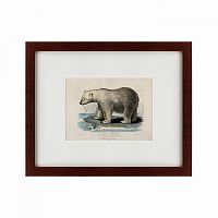 картина: white polar bear on an ice, 1830 в Тольятти
