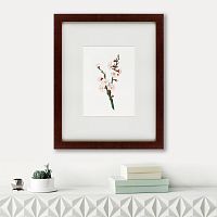 картина: apricot flower (prunus armeniaca), 1832 в Тольятти
