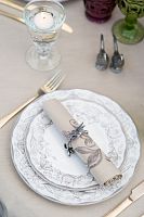 кольцо для салфеток олива lv в Тольятти