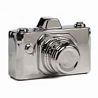 предмет декора camera серебряная в Тольятти