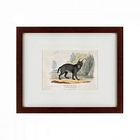 картина: a caracal or lynx, 1830 в Тольятти