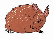 ковер шерстяной олененок the deer в Тольятти